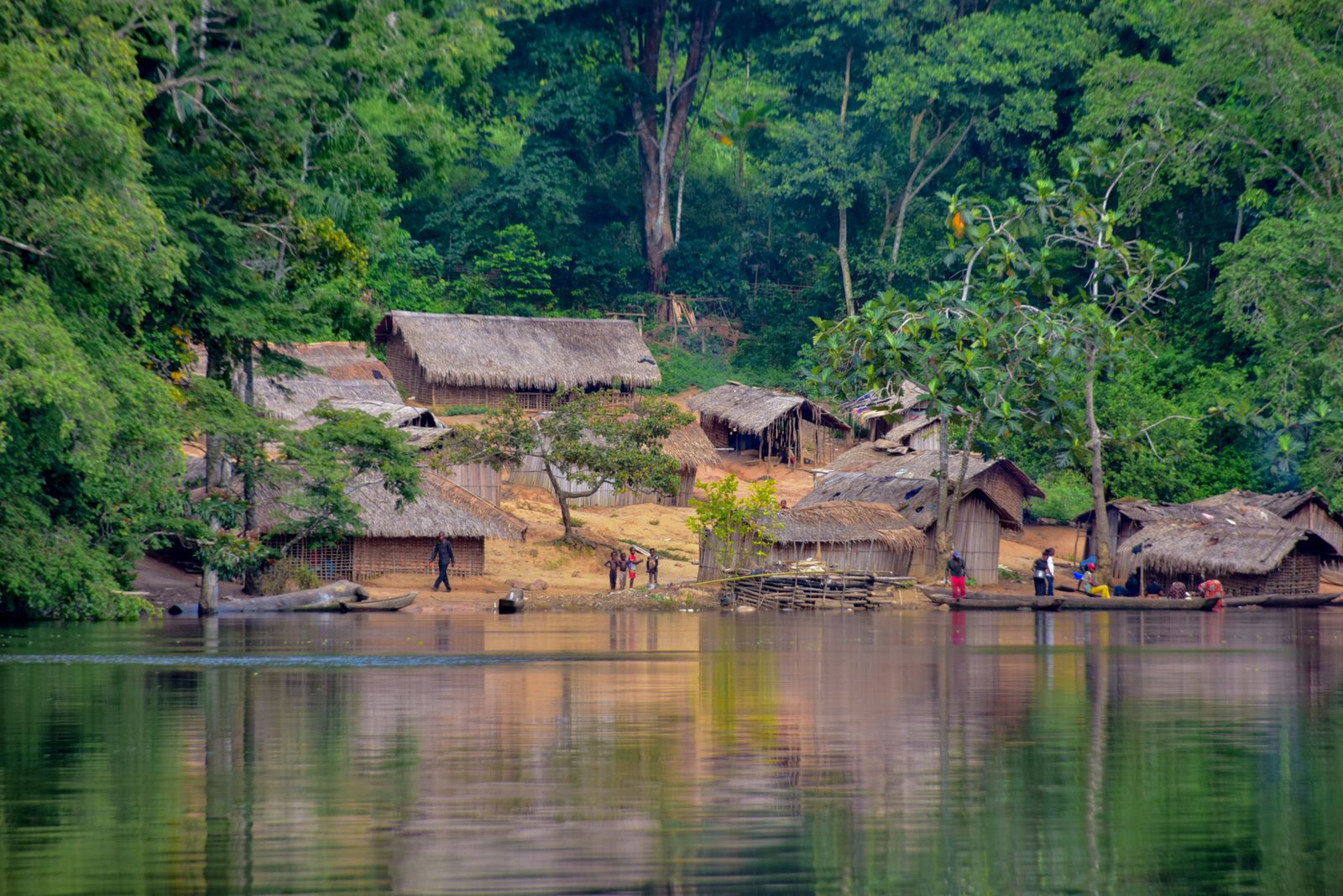 A village of thatched houses on a river bank in the Congo rainforest.